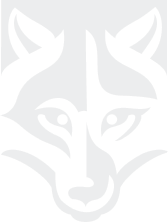 Laguiole Plein Manche - Coffret Ménagère 24 pièces